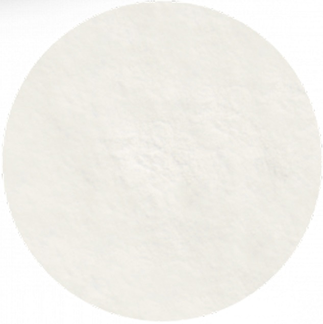 haldin coconut milk powder vegan