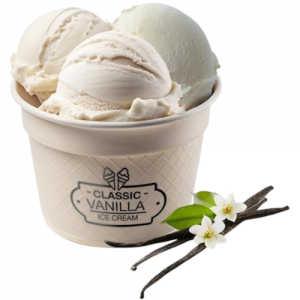 Classic Vanilla Ice Cream