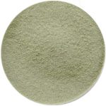 image raw material Spinach SD Powder haldin