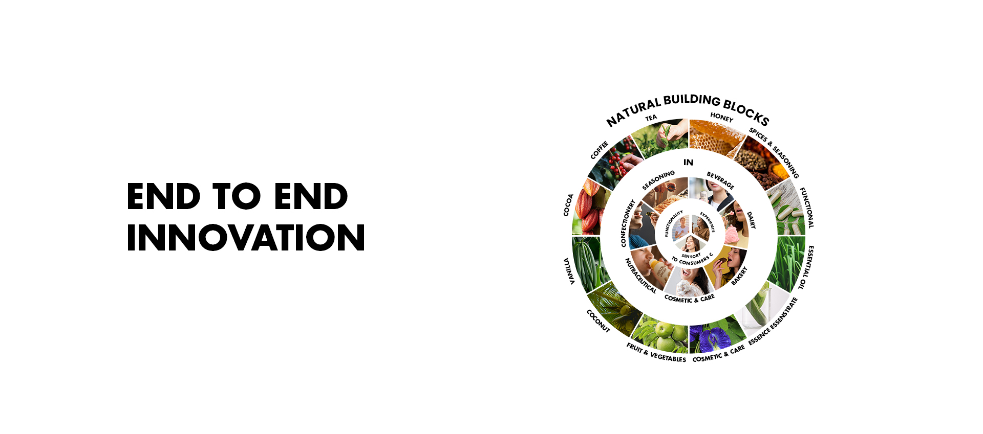 End-to-end innovation through Haldin Natural Building Blocks, connecting natural ingredients with functional, sensory, and consumer-driven product applications.