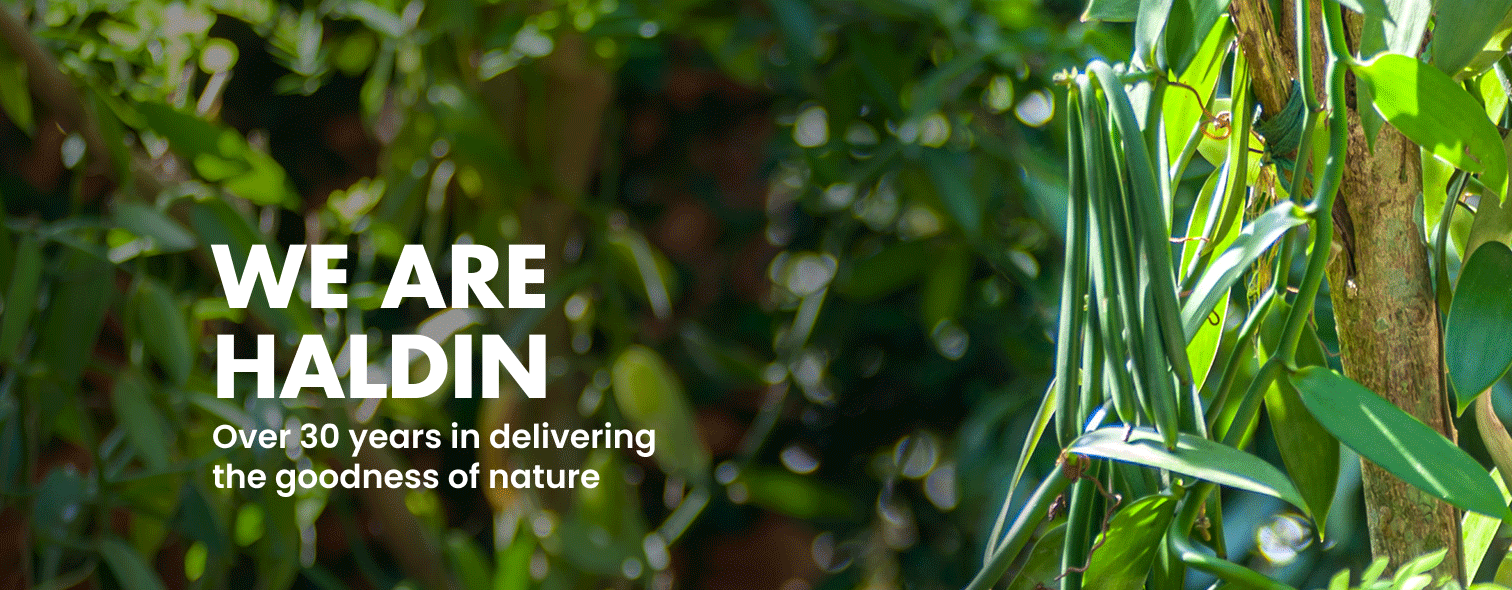 We Are Haldin banner featuring lush tropical greenery and the message “Over 30 years in delivering the goodness of nature.”
