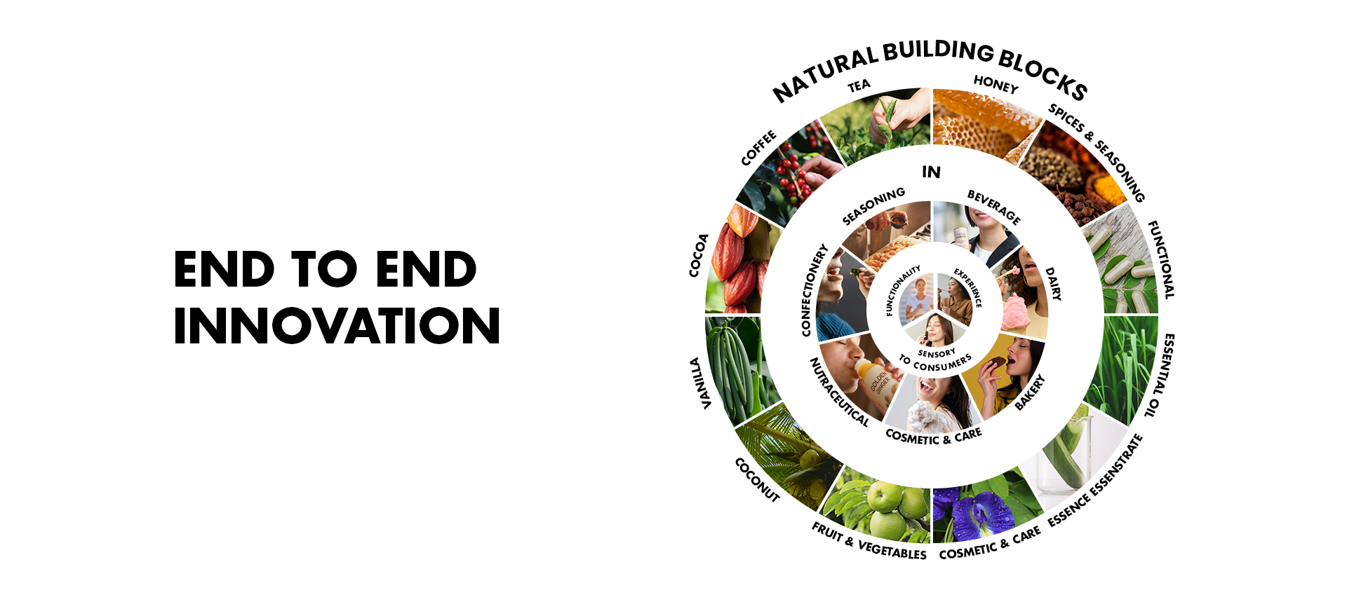 End-to-end innovation through Haldin Natural Building Blocks, connecting natural ingredients with functional, sensory, and consumer-driven product applications.